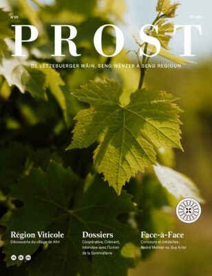 Image du folder Vins & Crémants Luxembourg – Edition 05