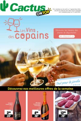 Image du folder Cactus – Cactus Ontop 25 août 2025
